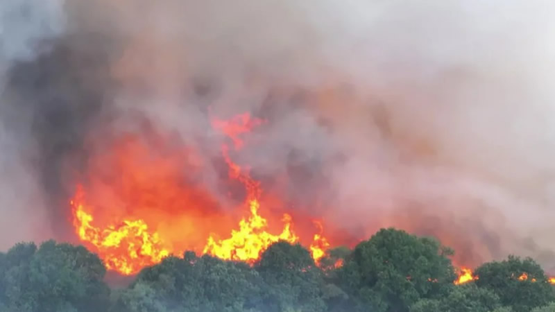 Dorset’te Yangın: 20 Ev Tahliye Edildi