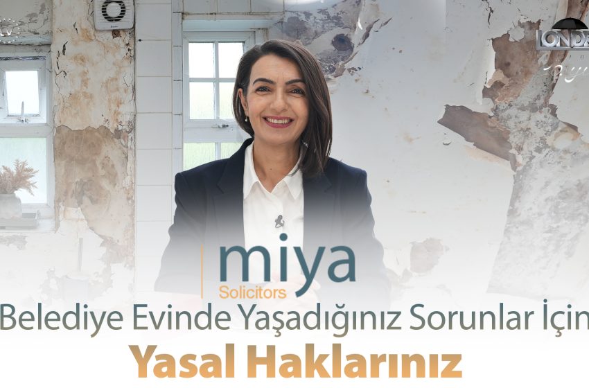  Belediye evinde yaşadığınız sorunlar için yasal haklarınız…