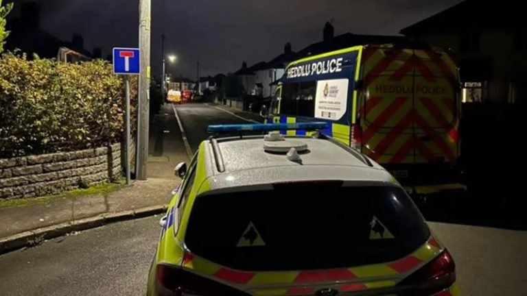 Dokuz Aylık Bebek Köpek Saldırısında Hayatını Kaybetti