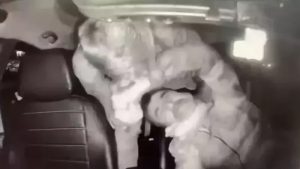 Taksiciyi Darp Eden İngiliz Boksörden İlk Duruşmada ‘Panik Atak’ Savunması