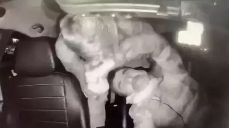 Taksiciyi Darp Eden İngiliz Boksörden İlk Duruşmada ‘Panik Atak’ Savunması