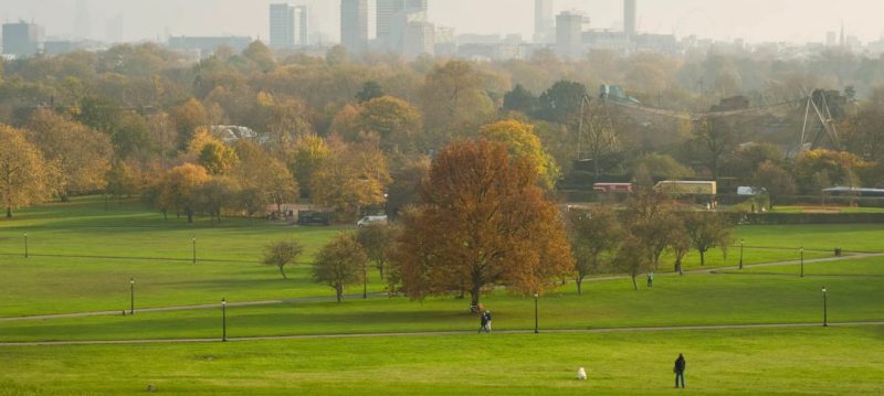 Londra’da Yılbaşı Önlemleri: Popüler Seyir Noktaları Kapatıldı