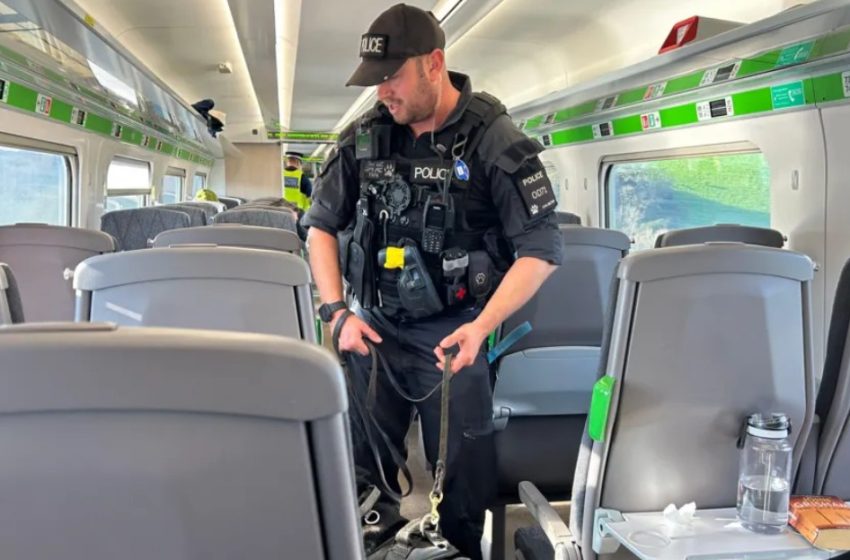  İngiltere’nin Güney Batısında Uyuşturucu ve Çocuk İstismarına Darbe: 122 Kişi Tutuklandı