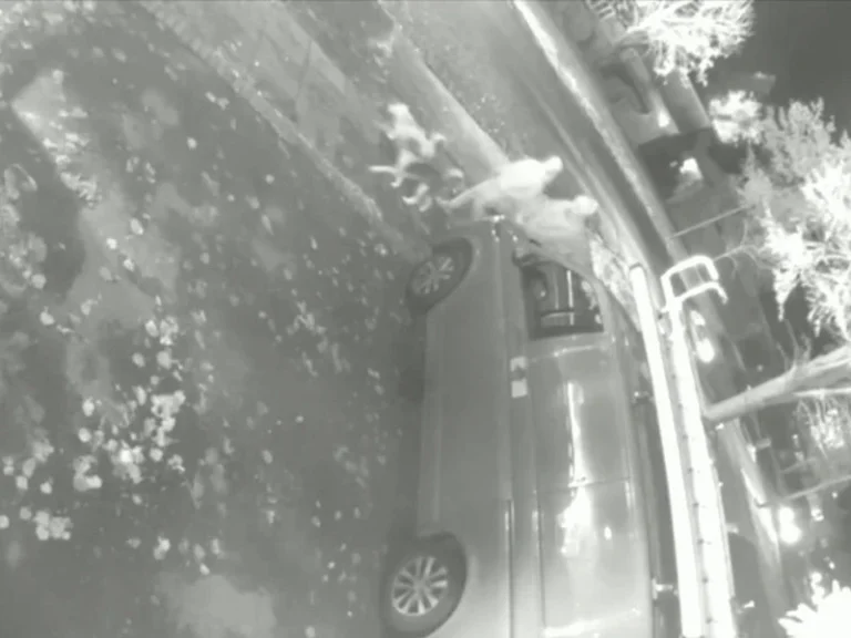 Emekli Mühendis Ev Yapımı Bombayla ULEZ Kamerasını Havaya Uçurdu