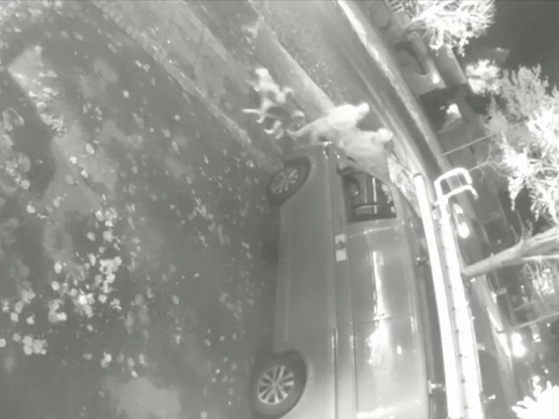 Emekli Mühendis Ev Yapımı Bombayla ULEZ Kamerasını Havaya Uçurdu