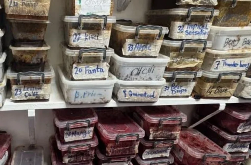 Doğu Londra’da kaçak tütün ve e-sigara operasyonu