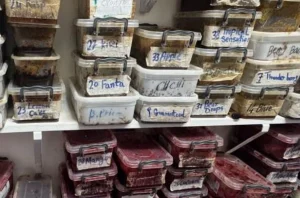 Doğu Londra’da kaçak tütün ve e-sigara operasyonu