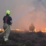 Suffolk’ta Nükleer Santral Yakınındaki Dev Orman Yangını Nedeniyle Yüzlerce Kişi Tahliye Edildi