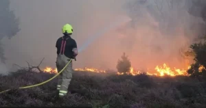 Suffolk’ta Nükleer Santral Yakınındaki Dev Orman Yangını Nedeniyle Yüzlerce Kişi Tahliye Edildi