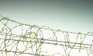 İngiltere’de Cezaevlerinden Erken Tahliyelerde İkinci Dalga: 2 Bin Mahkûm Serbest Bırakılıyor