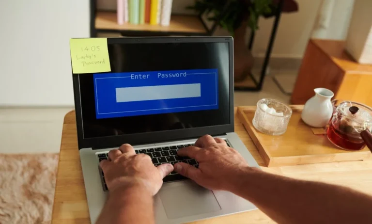 Dünyada Büyük Siber Güvenlik Alarmı: 30 Milyon İnternet Sitesi Risk Altında